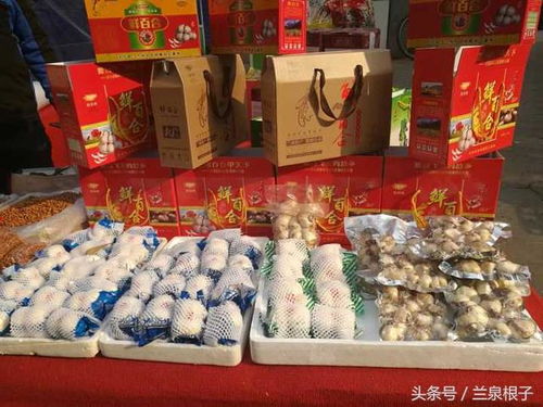 蘭州市供銷社多措并舉保障農(nóng)副土特產(chǎn)品市場供應與安全經(jīng)營