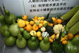 第十五屆昆明農(nóng)博會開幕啦，快收下這份逛展攻略，周末約起！